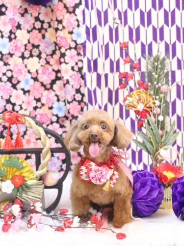 20250122永遠ちゃん